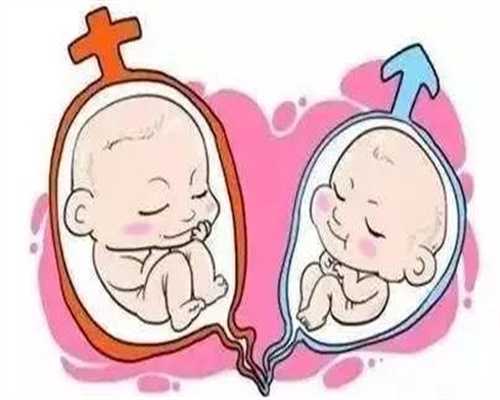 合肥901医院试管婴儿技术解析:公立还是私立?助孕咨询电话与费用参考